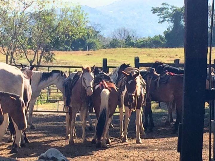 Hotel Hacienda El Rodeo Vueltas 外观 照片