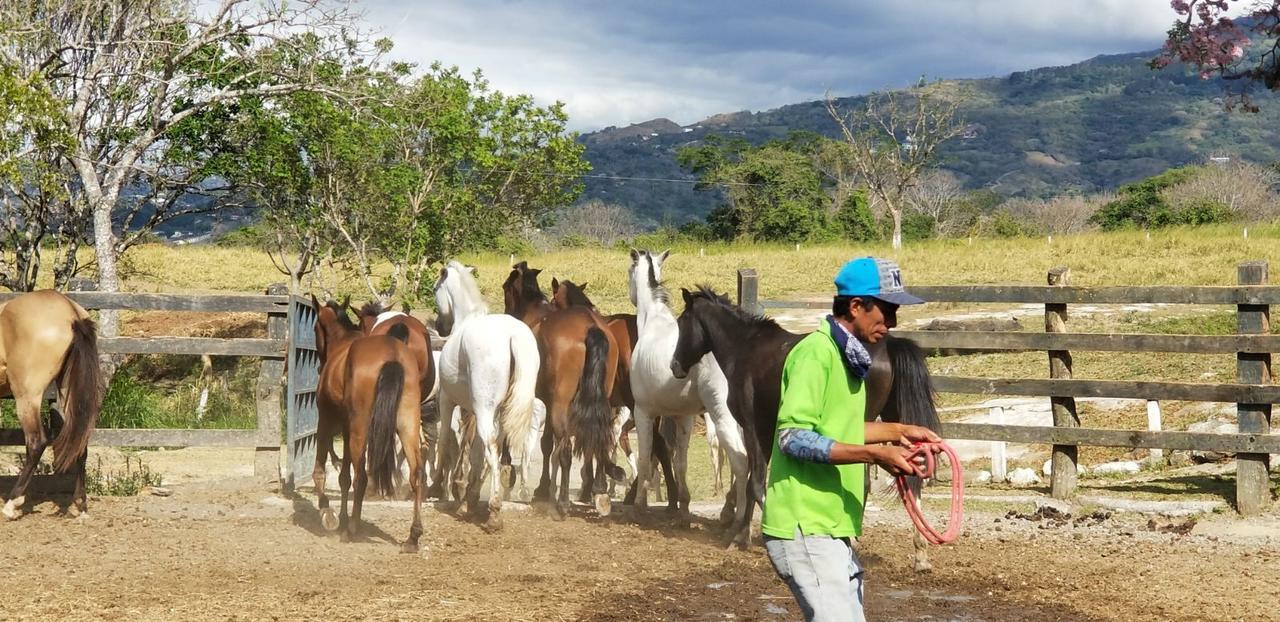 Hotel Hacienda El Rodeo Vueltas 外观 照片